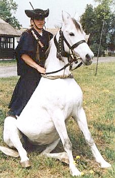 Reitvorführung in der Puszta bei Hortobágy