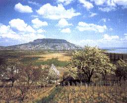 Der Badacsonyberg ist ein Weinberg