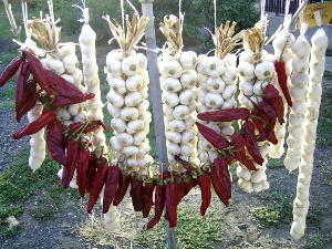 Knoblauch und Chilipaprika