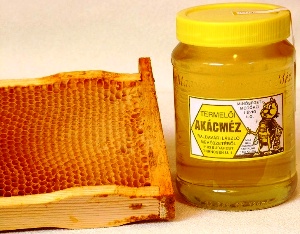 Akazienhonig aus Ungarn