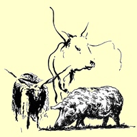 Graurind, Zackelschaf und Wollschwein
